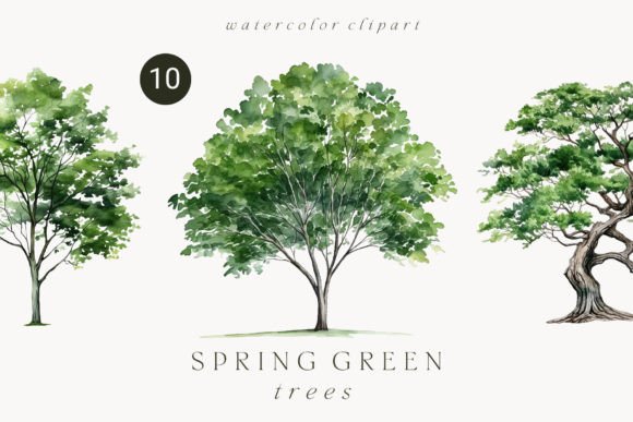 Download Watercolor Green Tree Forest Clipart - Green Collection
